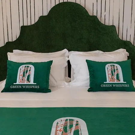 The Collector Boutique