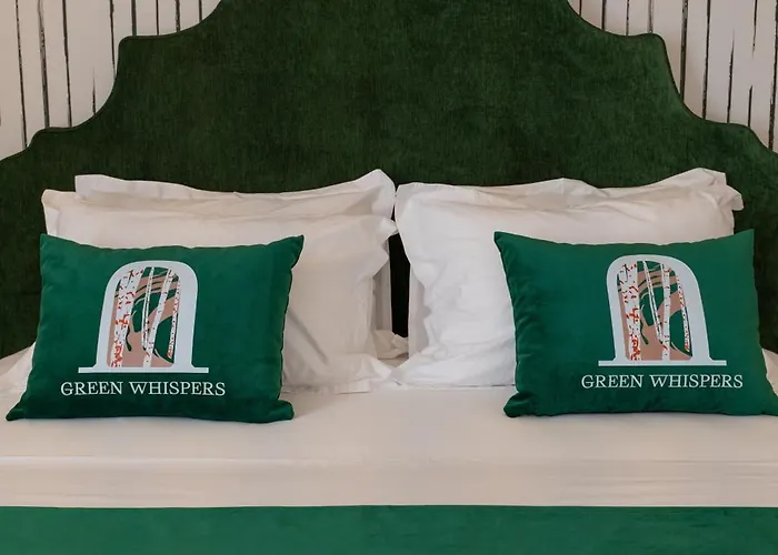 The Collector Boutique