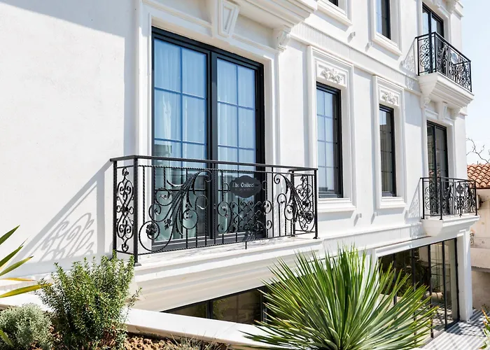 The Collector Boutique